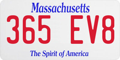 MA license plate 365EV8