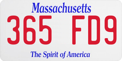MA license plate 365FD9