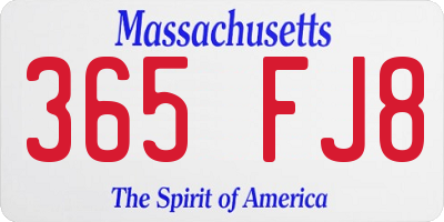 MA license plate 365FJ8