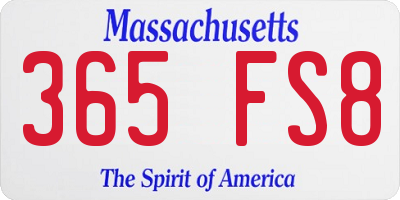 MA license plate 365FS8