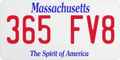 MA license plate 365FV8