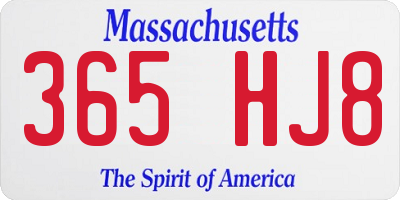 MA license plate 365HJ8