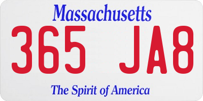 MA license plate 365JA8