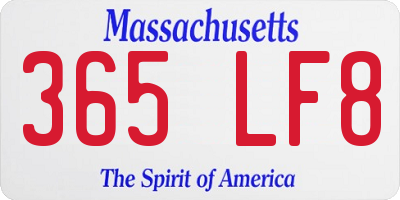 MA license plate 365LF8