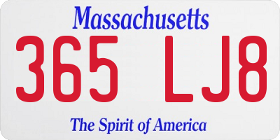 MA license plate 365LJ8