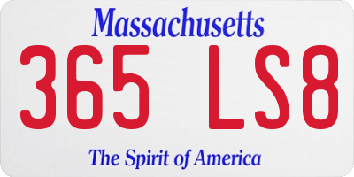 MA license plate 365LS8