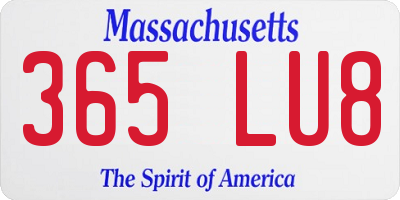 MA license plate 365LU8