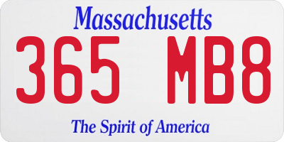 MA license plate 365MB8