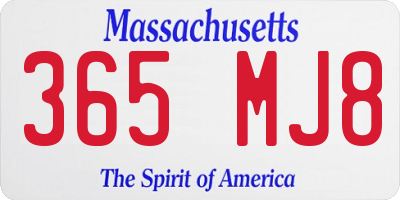 MA license plate 365MJ8