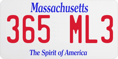 MA license plate 365ML3