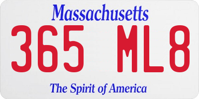 MA license plate 365ML8