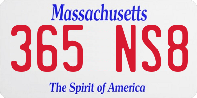MA license plate 365NS8