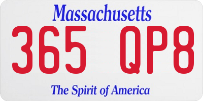 MA license plate 365QP8