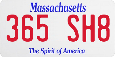 MA license plate 365SH8