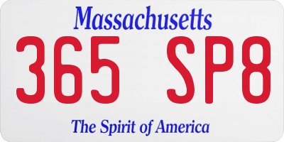 MA license plate 365SP8