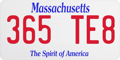 MA license plate 365TE8