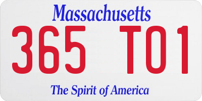 MA license plate 365TO1