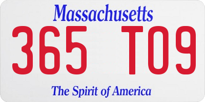 MA license plate 365TO9