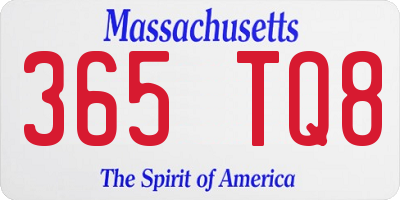 MA license plate 365TQ8