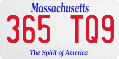 MA license plate 365TQ9