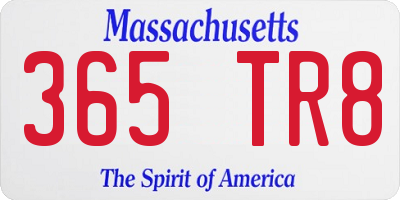 MA license plate 365TR8