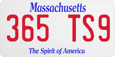 MA license plate 365TS9