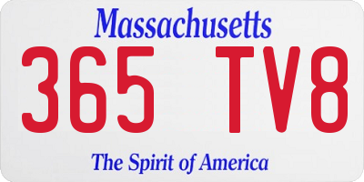 MA license plate 365TV8