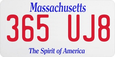 MA license plate 365UJ8