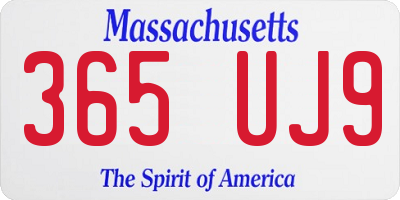 MA license plate 365UJ9