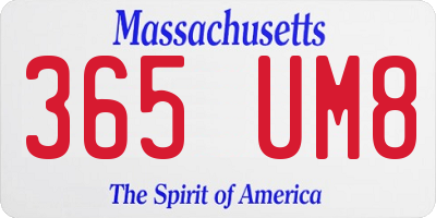 MA license plate 365UM8