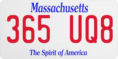 MA license plate 365UQ8
