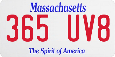 MA license plate 365UV8