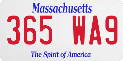 MA license plate 365WA9