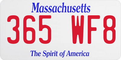 MA license plate 365WF8