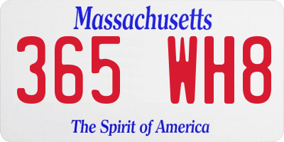 MA license plate 365WH8