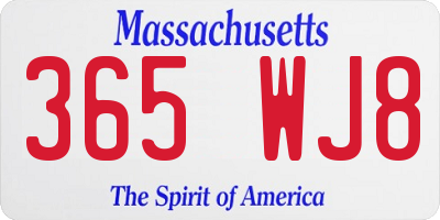MA license plate 365WJ8