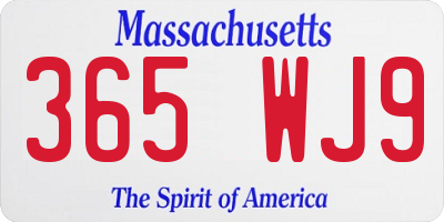 MA license plate 365WJ9