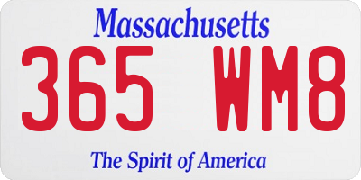 MA license plate 365WM8