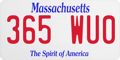 MA license plate 365WU0