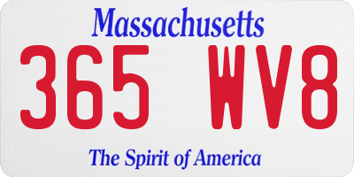 MA license plate 365WV8