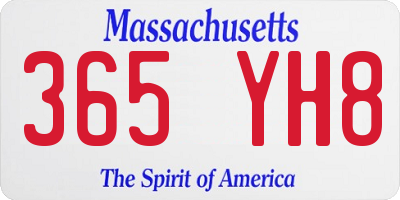 MA license plate 365YH8