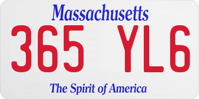 MA license plate 365YL6