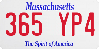 MA license plate 365YP4