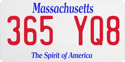 MA license plate 365YQ8