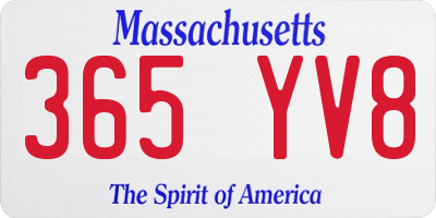 MA license plate 365YV8