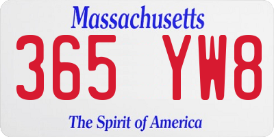 MA license plate 365YW8
