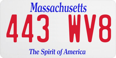 MA license plate 443WV8