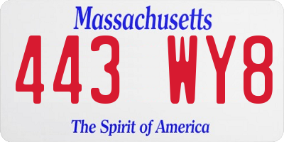 MA license plate 443WY8