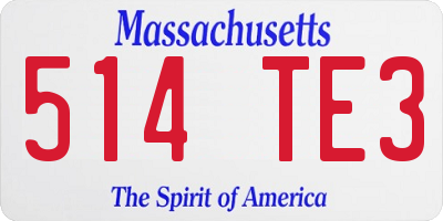 MA license plate 514TE3