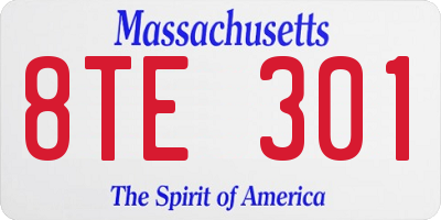 MA license plate 8TE301